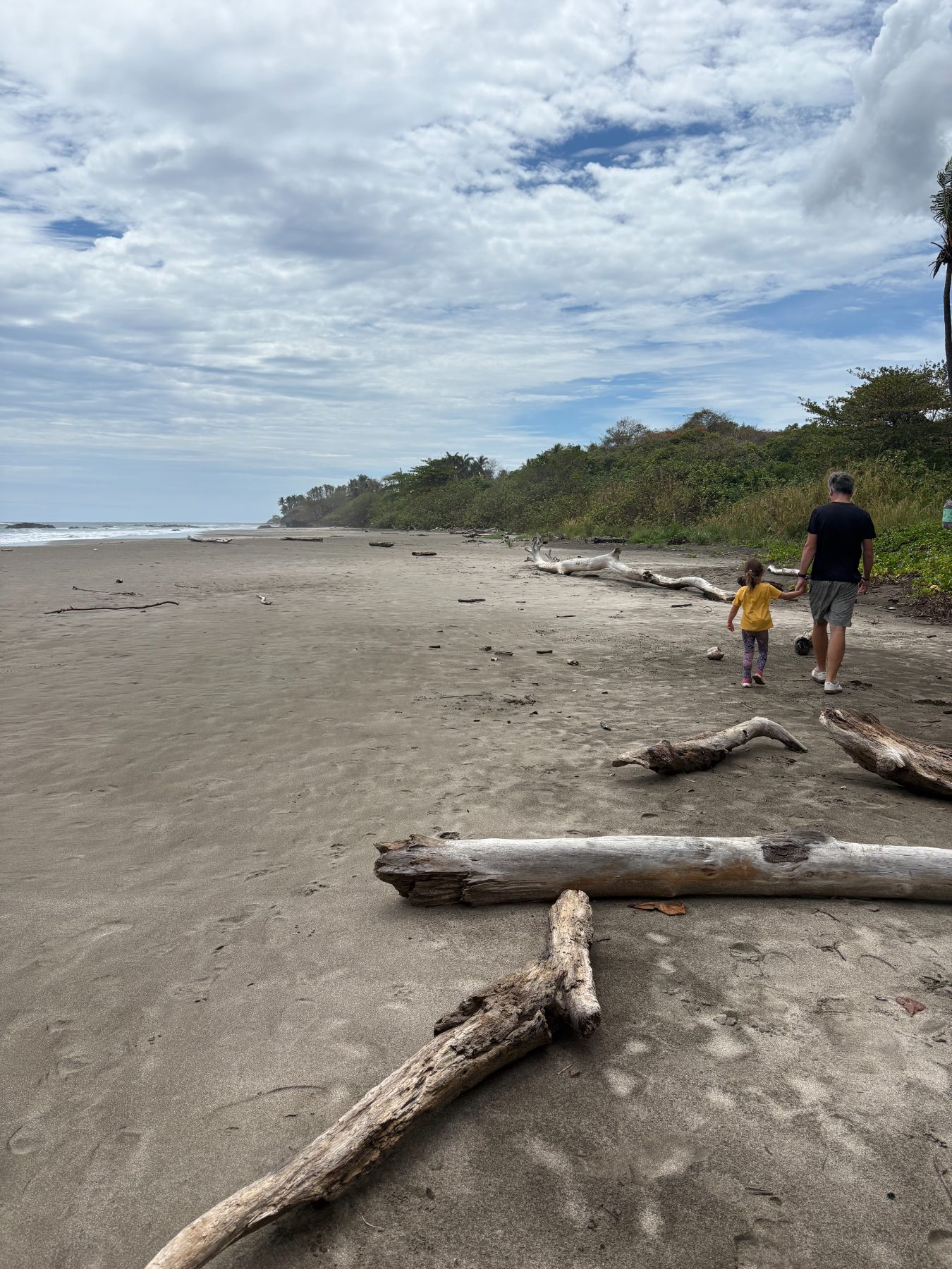 A father and daughter walking the driftwood-strewn sand of a quiet Pacific beach